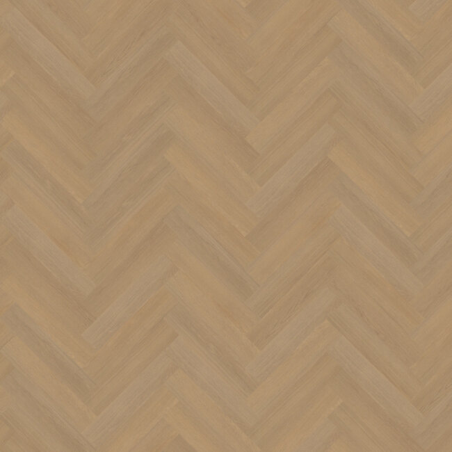 Belakos Futuro visgraat XL 50 PLak PVC