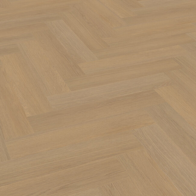 Belakos Futuro visgraat XL 50 PLak PVC