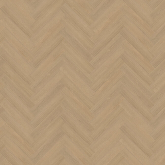 Belakos Futuro visgraat XL 51 Plak PVC