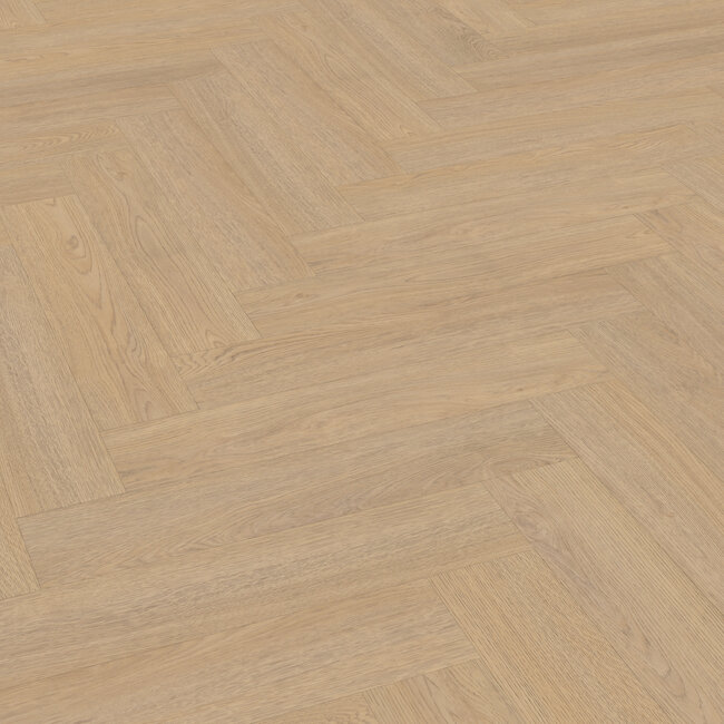 Belakos  Terreno visgraat XL 61 Plak PVC