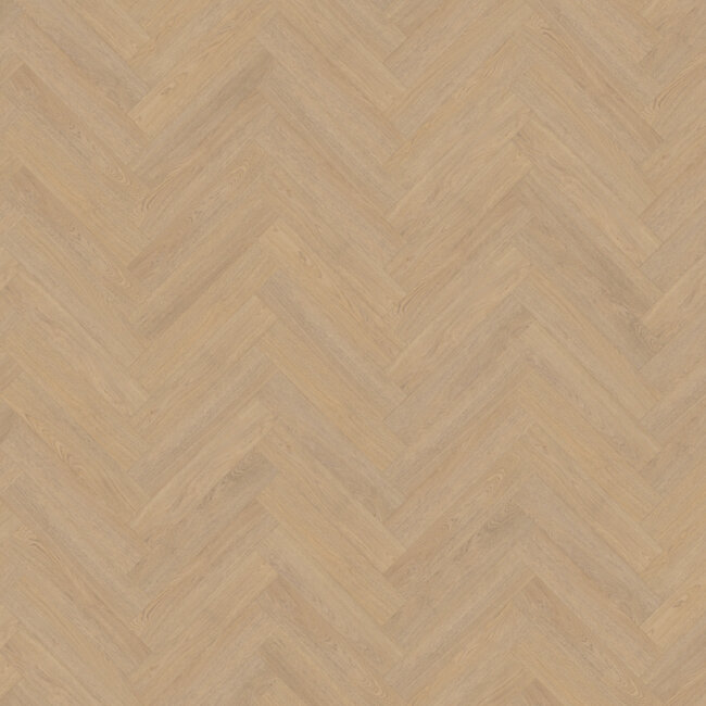 Belakos  Terreno visgraat XL 61 Plak PVC