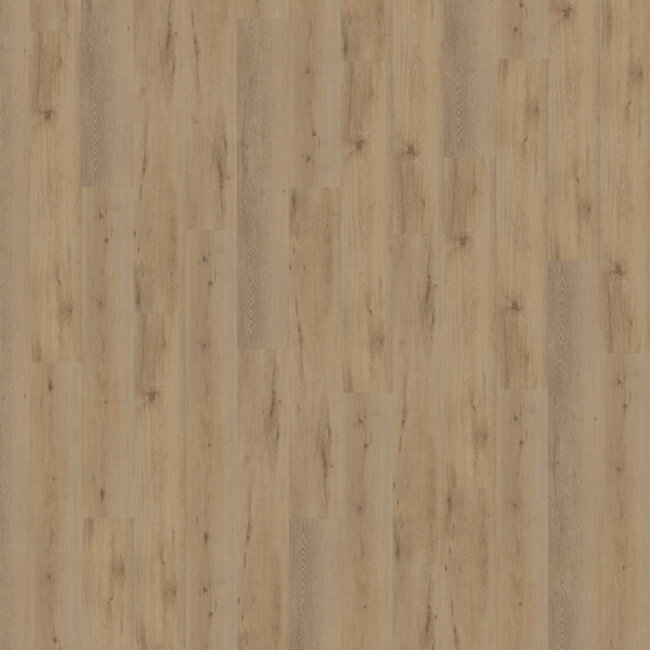 Belakos Attico 800 Plak PVC