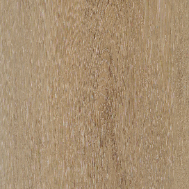 Belakos Attico 800 Plak PVC