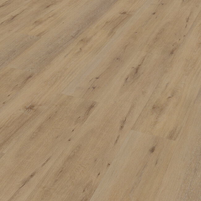 Belakos Attico 800 Plak PVC