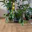 Floer Visgraat Laminaat – Bruin Eiken