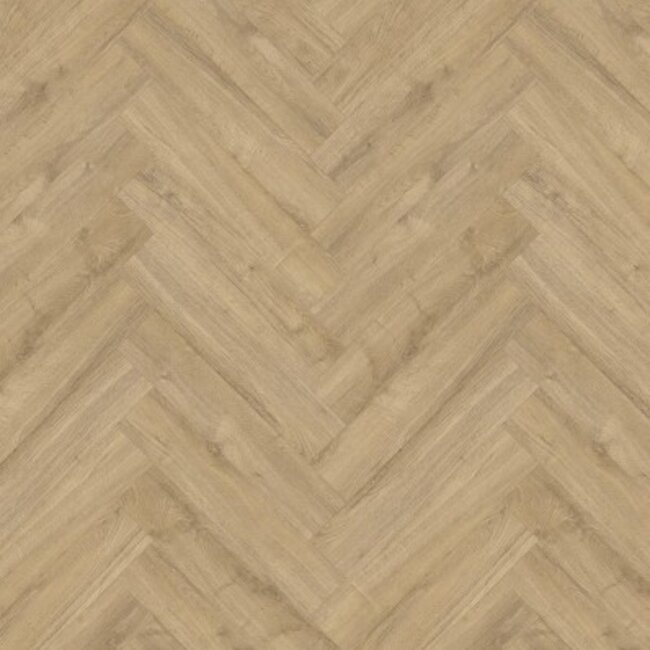 Gelasta Oakland Visgraat 6204 (dryback) Smoked