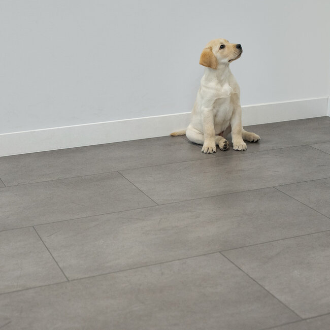 Floer Tegel Click PVC – Hasseberg Antraciet (Uitlopend)