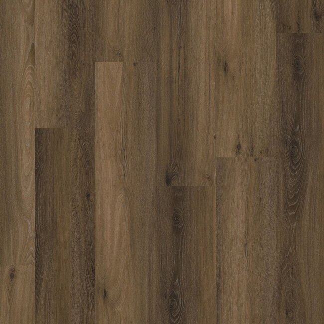 Ambiant Avanto dryback warm brown