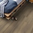 Ambiant Avanto dryback smoky
