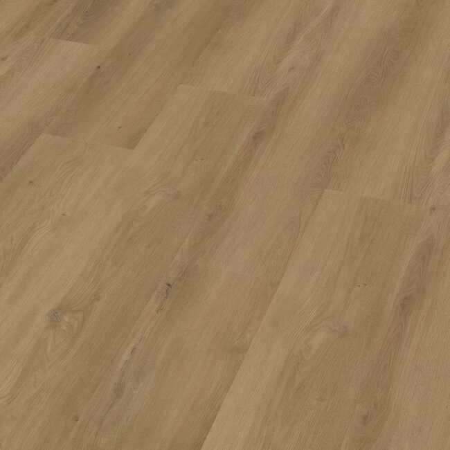 Ambiant Espero click SRC dark oak