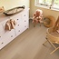 Ambiant Estino click SRC dark oak