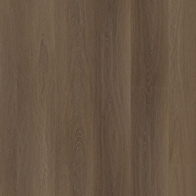 Ambiant Estino click SRC brown