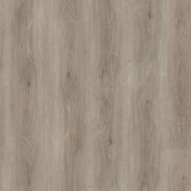 Ambiant Robusto click SRC light grey