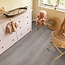 Ambiant Robusto click SRC grey oak