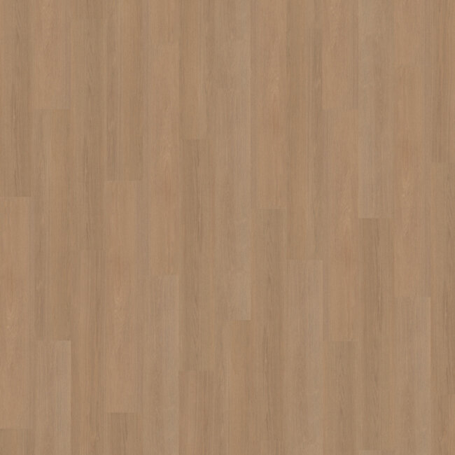 Belakos Futuro 500 Plak PVC