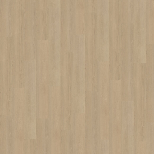 Belakos Futuro 520 Plak PVC