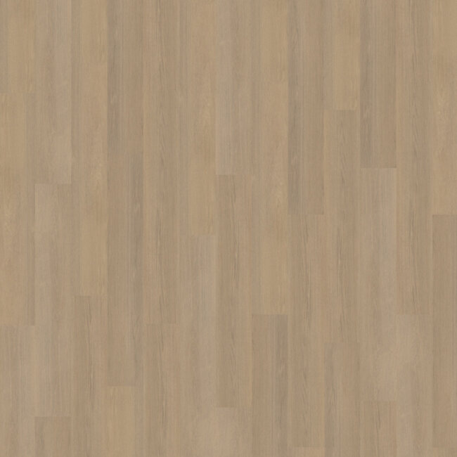 Belakos Futuro 530 Plak PVC