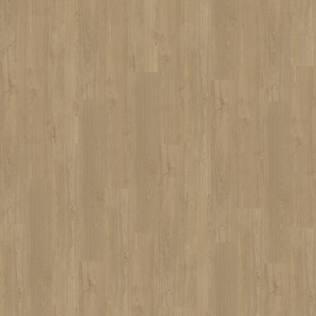 Belakos Portico 540 Plak PVC