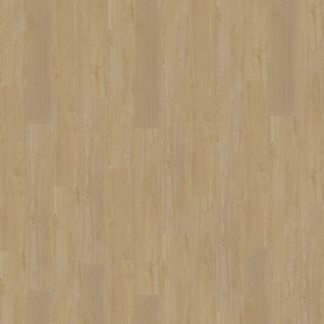 Belakos Portico 560 Plak PVC