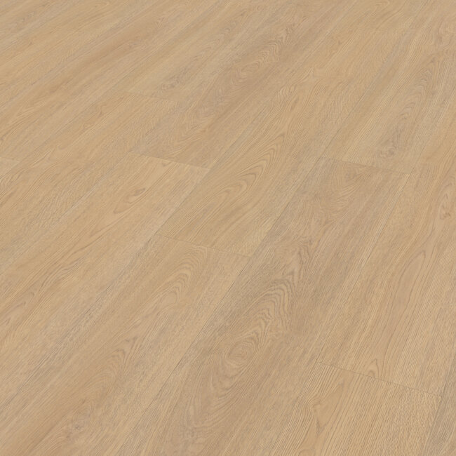 Belakos Terreno 610 Plak PVC