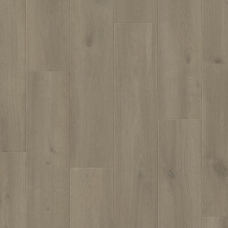Otium Otium Silk Light Grey Laminaat