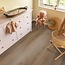 Ambiant Vivero click SRC smoky