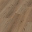 Ambiant Vivero click SRC smoky