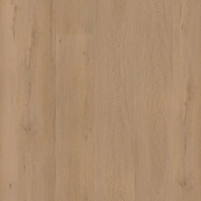 Ambiant Vivero click SRC warm oak