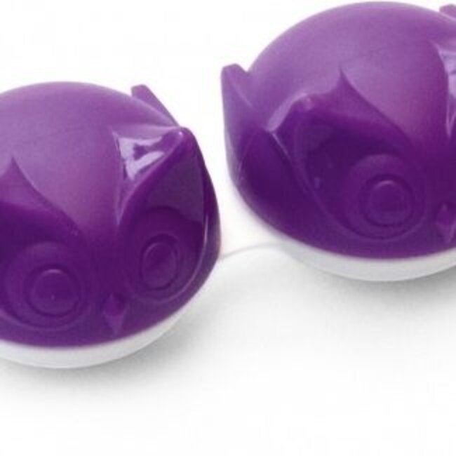 Lenzenhouder Paarse Uil