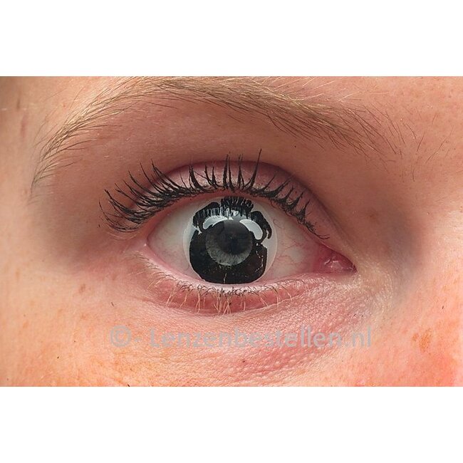 Crazy kleurlenzen Wit - Zwart Trouble Nu met GRATIS lensdoosje