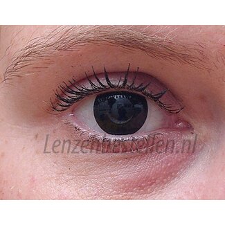 Universeel Crazy kleurlenzen Zwart