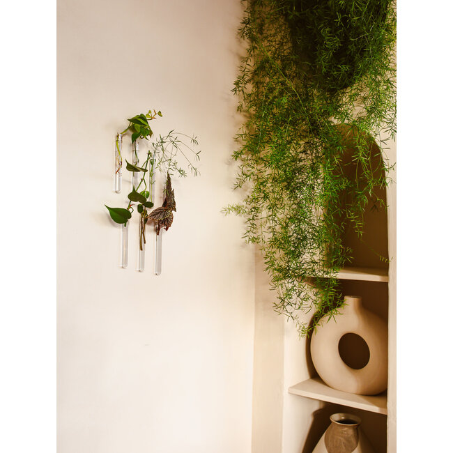 Muurbloempjes transparant