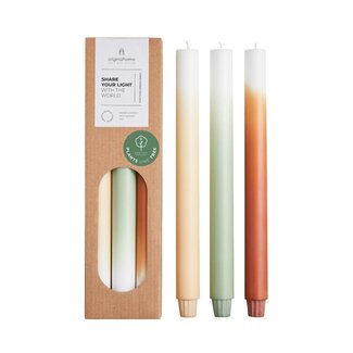 Original Home Gradient candles long 30cm - pine tree