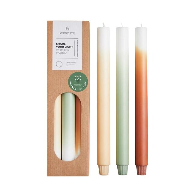 Gradient candles long 30cm - pine tree