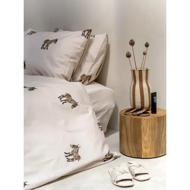 Donkeys