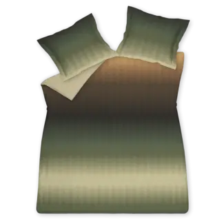 Vandyck Aurora - multi