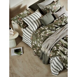 Vandyck Pure 94 - tijm