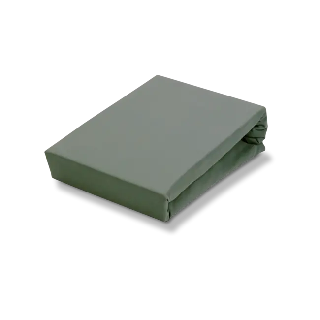 Vandyck jersey supreme - sage green