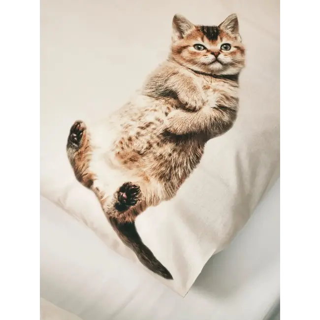 Kittens flanel (140x200/220 + 1sloop)