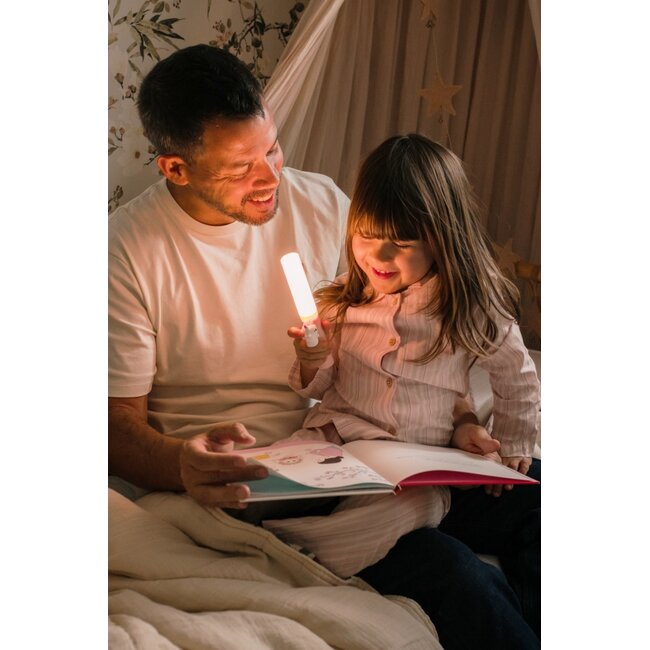 Zoo light - eenhoorn