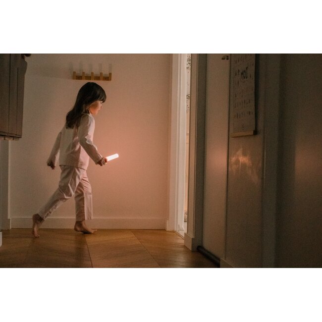 Zoo light - eenhoorn