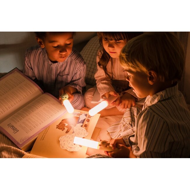 Zoo light - eenhoorn