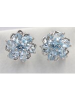 Oorbellen met Blauwe Topaas