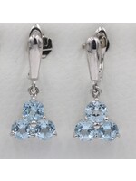Blue Topaz Earrings