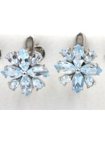 Blue Topaz Earrings