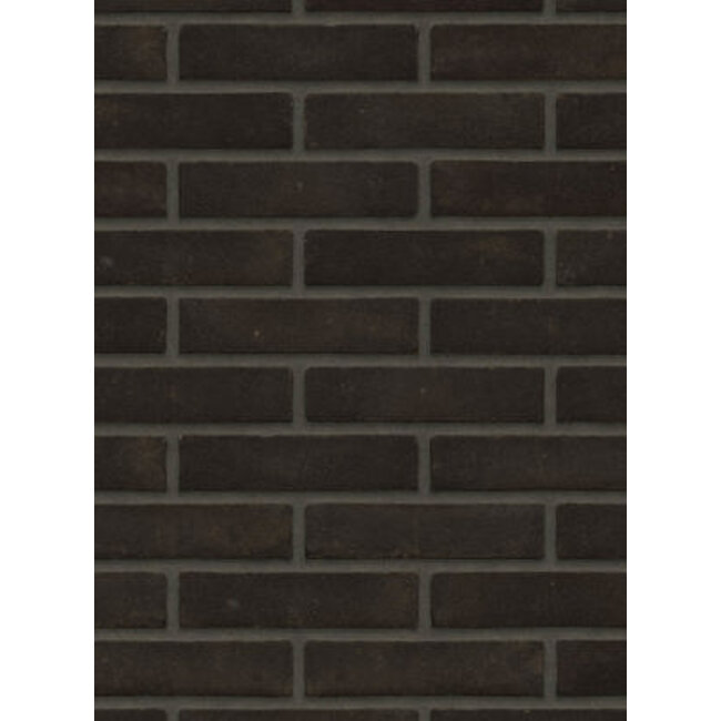 Aalster bond baksteenstrip VB/WF 21x5 cm