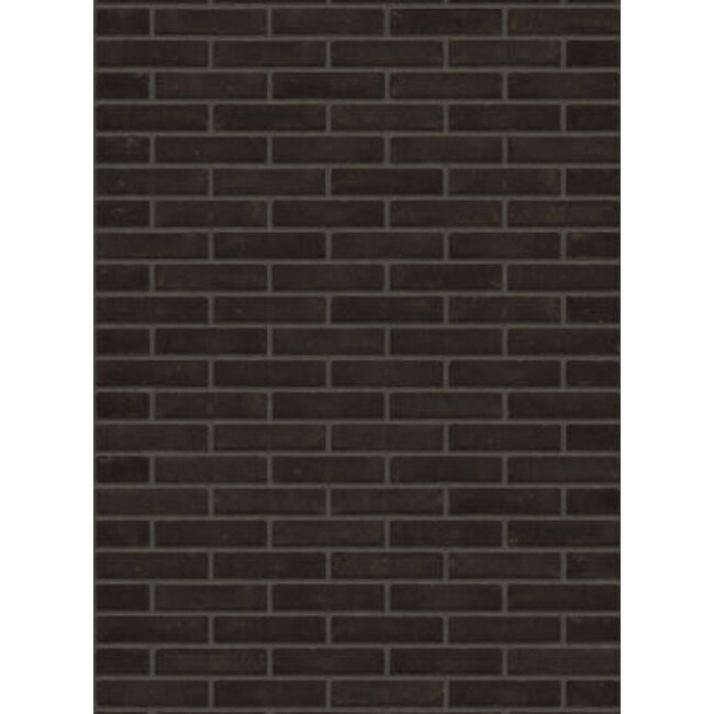 Aalster bond baksteenstrip VB/WF 21x5 cm