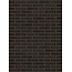 Aalster bond baksteenstrip VB/WF 21x5 cm