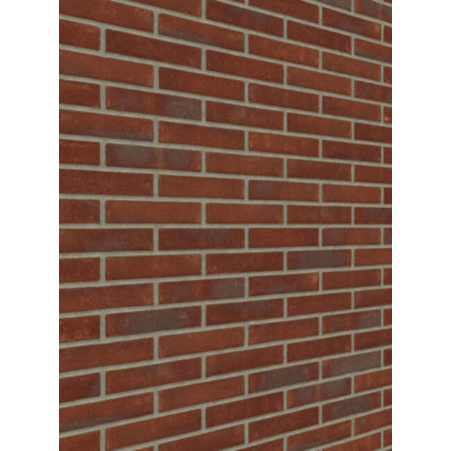 Bommels bont baksteenstrip VB/WF 21x5 cm