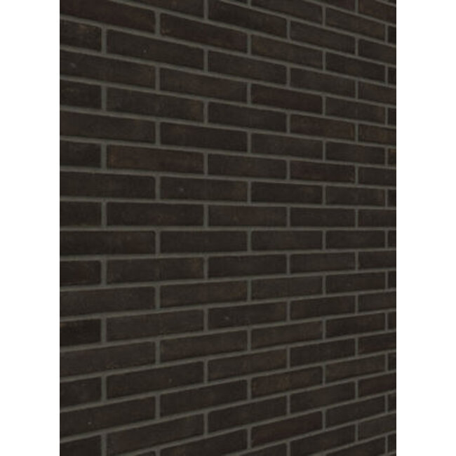 Aalster bont baksteenstrip WF 21x5 cm - per m²